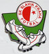 pin SK Slavia logo RETRO